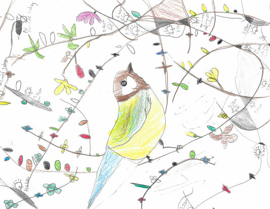 Le Pré aux oiseaux n° 3